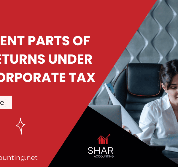 Different Parts Of Tax Returns Under Uae Corporate Tax